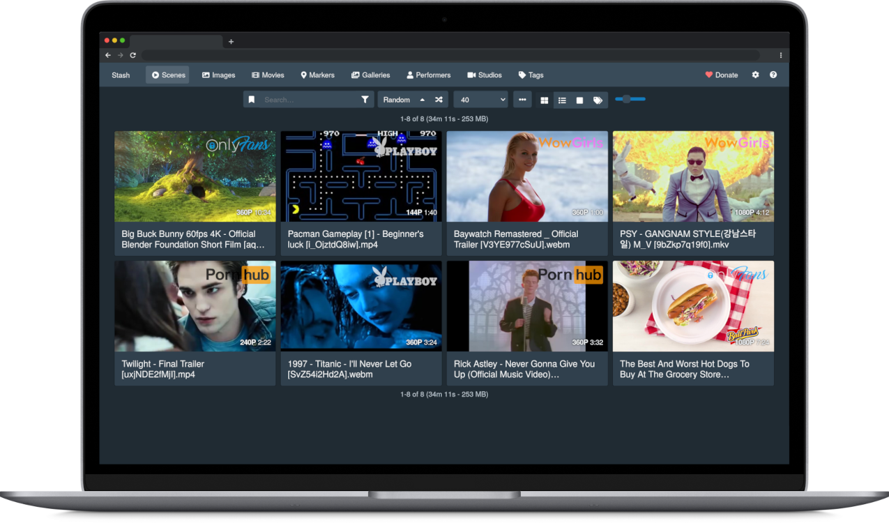 Screenshot of Stash web application interface